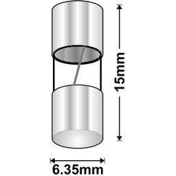 AGA GLASS FUSE