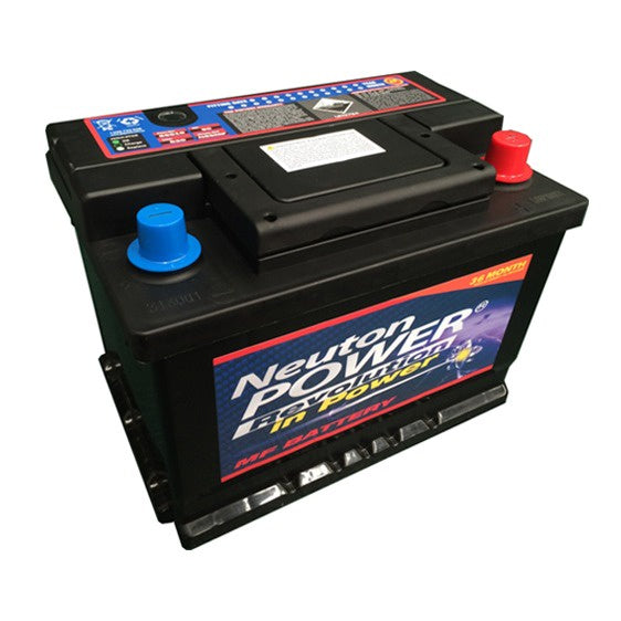 55530 - NEUTON POWER BATTERY