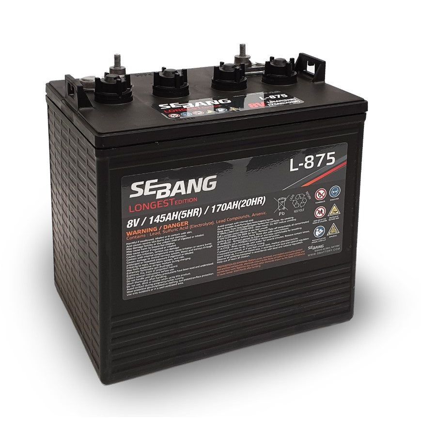 L-875 SeBang Golf Cart Battery